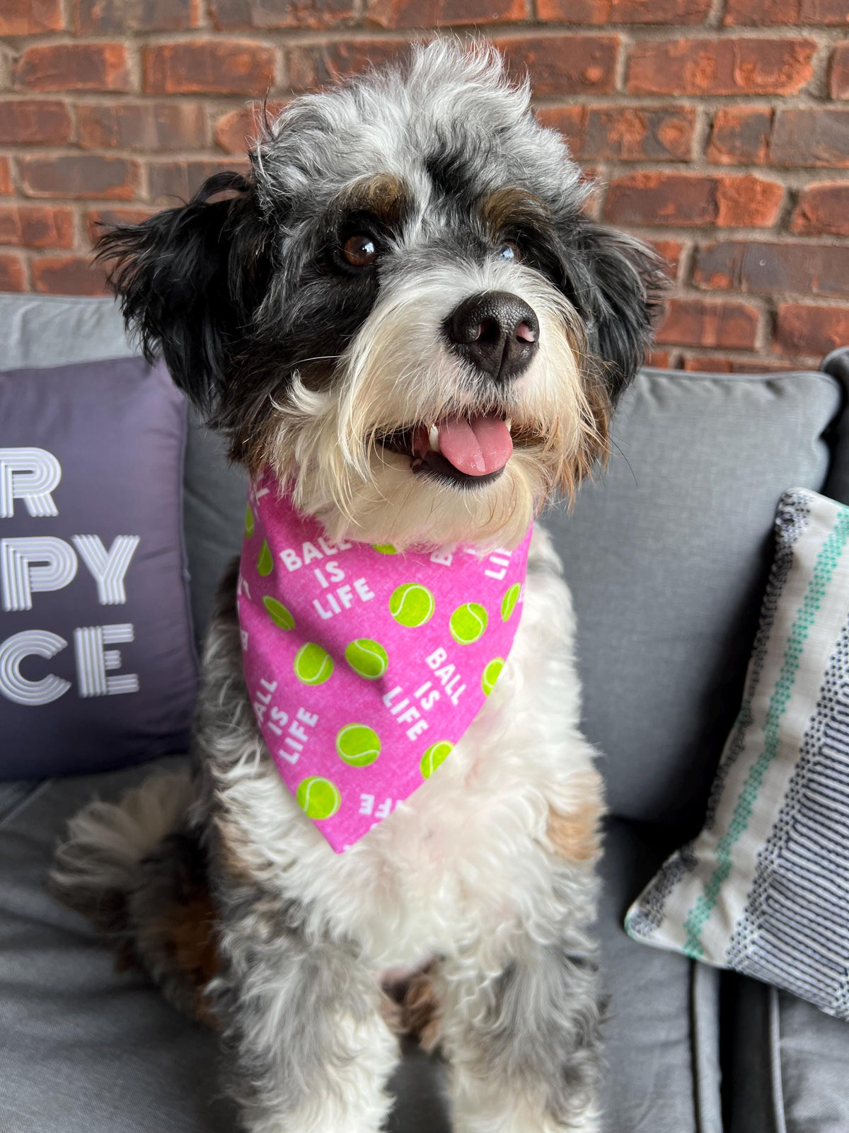 Ball is Life Dog Bandana: Over the Collar or Scrunchie, Pink or Navy, tennis