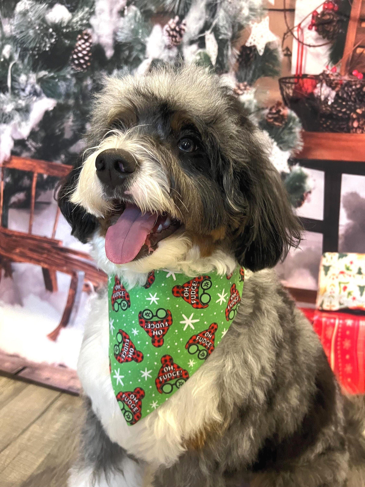 Christmas Story Dog Bandana: Over the Collar and Scrunchie Oh Fudge