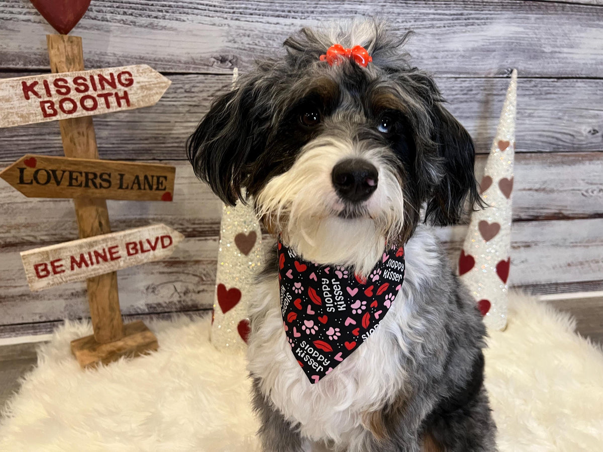 Dog Bandana: Sloppy Kisser Lips & Paws, Over the Collar or Scrunchie