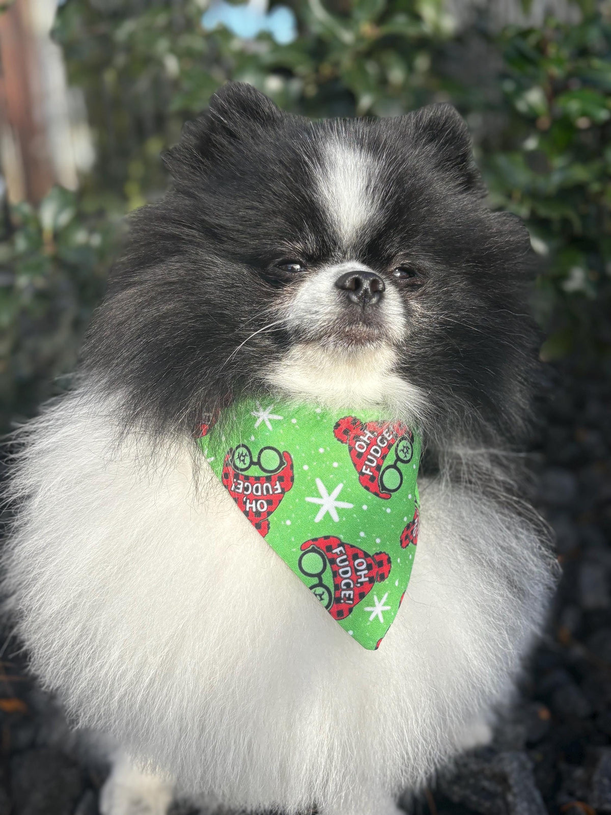Christmas Story Dog Bandana: Over the Collar and Scrunchie Oh Fudge