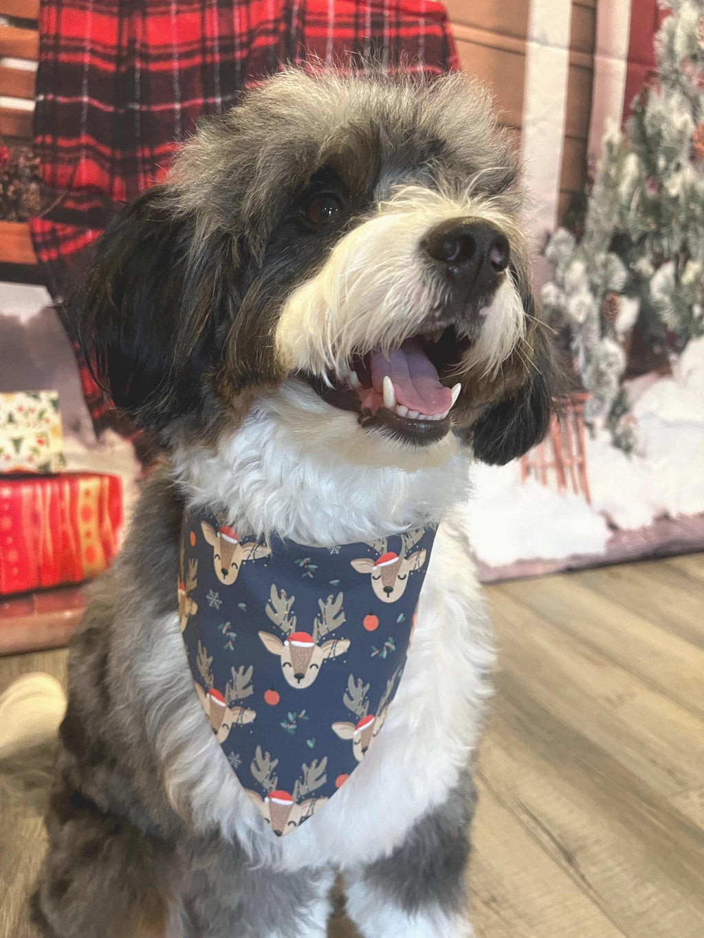 Christmas Oh Deer Plaid Dog Bandana: Scrunchie, Reversible Reindeer