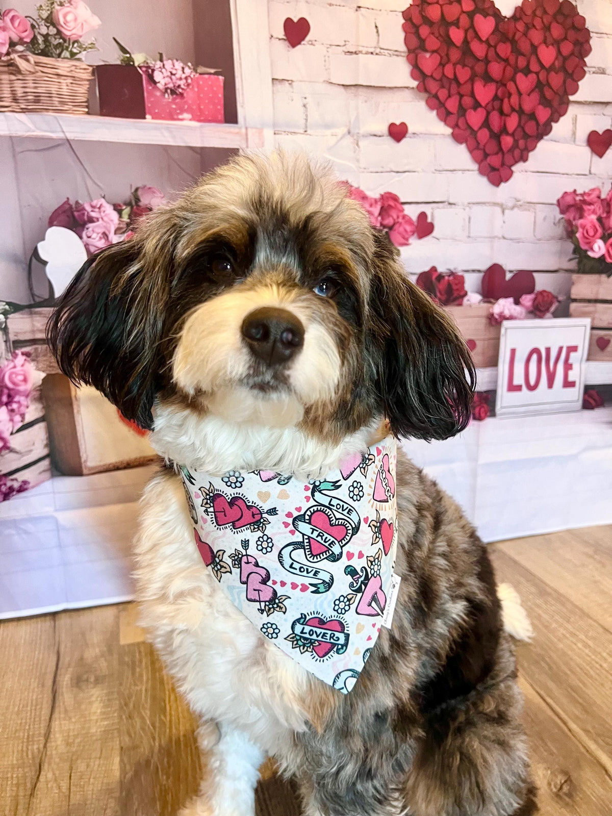 Valentine Hearts Dagger Dog Bandana; Scrunchie Kitsch True Love