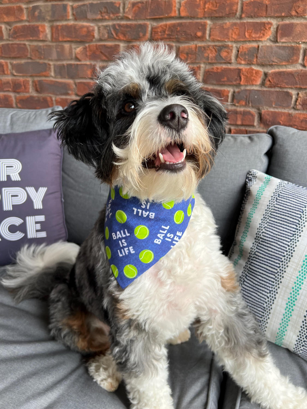 Ball is Life Dog Bandana: Over the Collar or Scrunchie, Pink or Navy, tennis