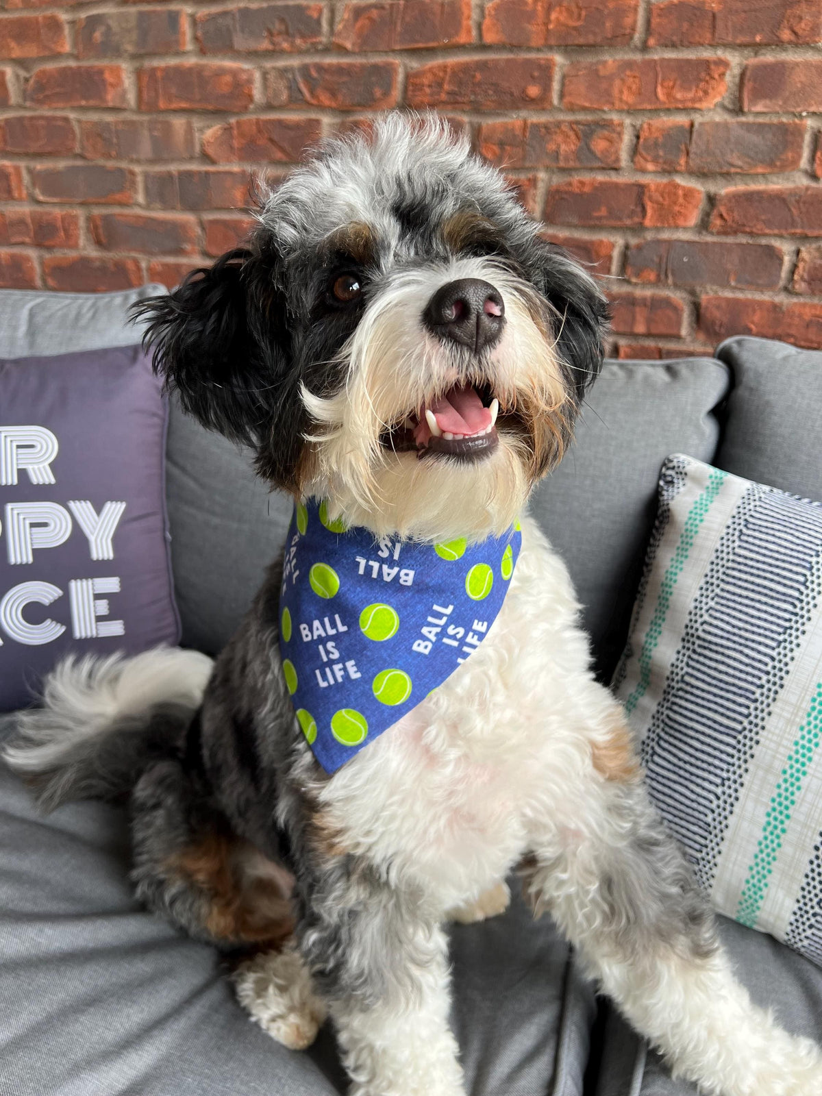 Ball is Life Dog Bandana: Over the Collar or Scrunchie, Pink or Navy, tennis