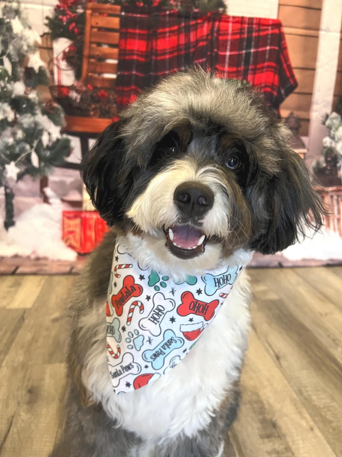 Christmas Santa Paws Dog Bandana: Scrunchie, Reversible Buffalo Check