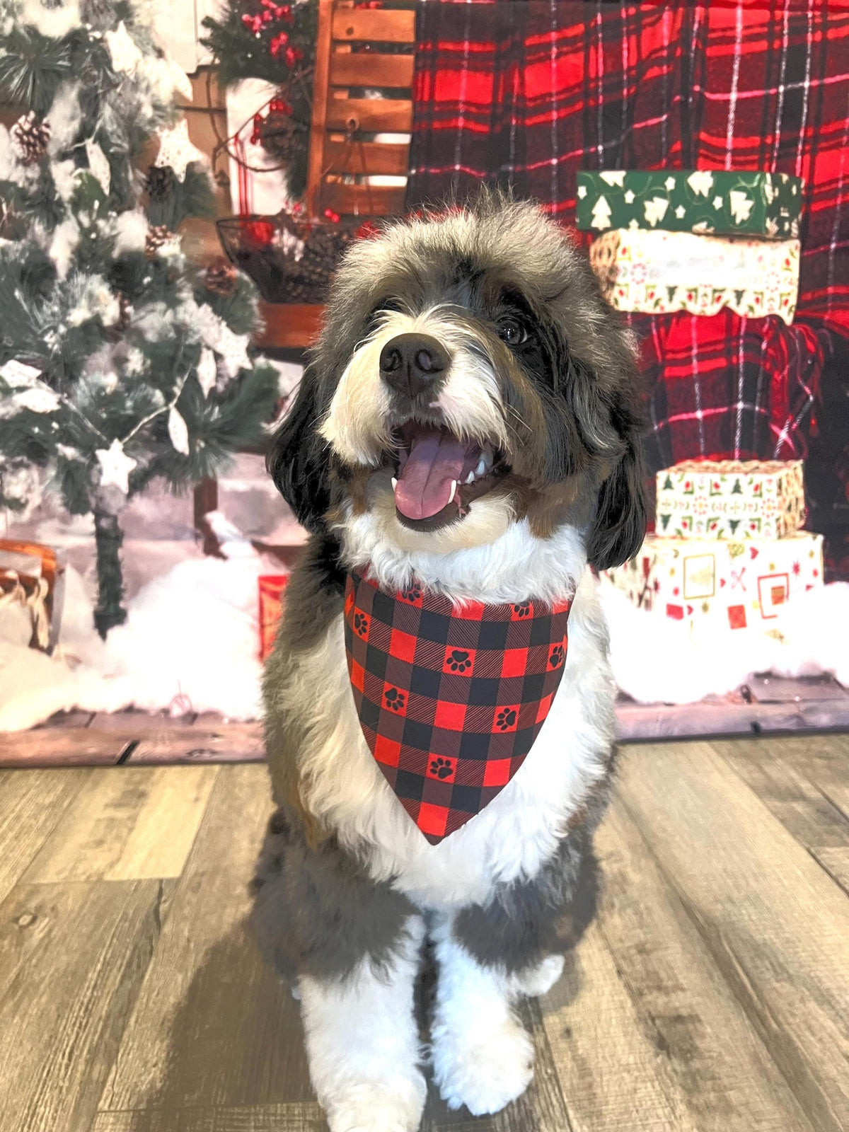 Christmas Santa Paws Dog Bandana: Scrunchie, Reversible Buffalo Check