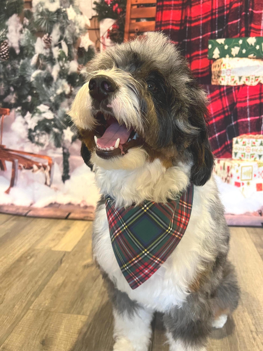 Christmas Oh Deer Plaid Dog Bandana: Scrunchie, Reversible Reindeer