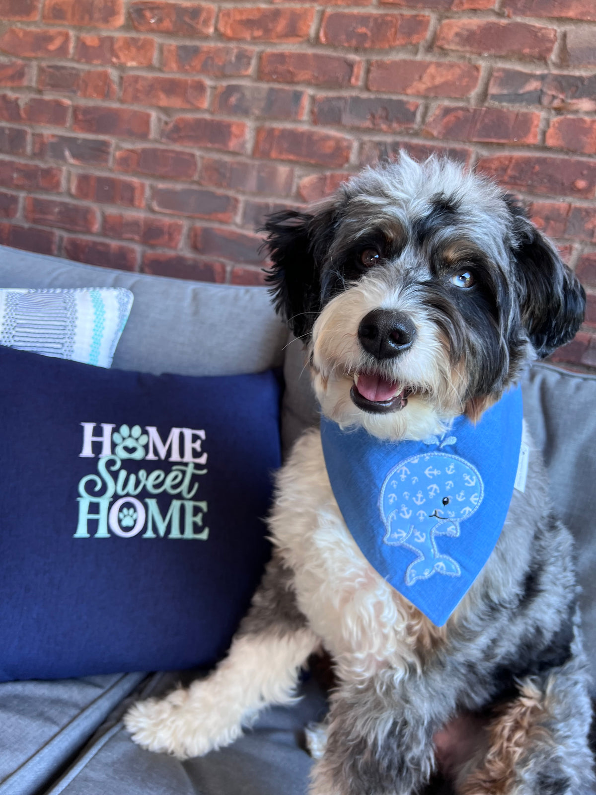 Sand and Sea Baby Whale Applique Dog Bandana: Scrunchie, Embroidered Beach Personalized Blue