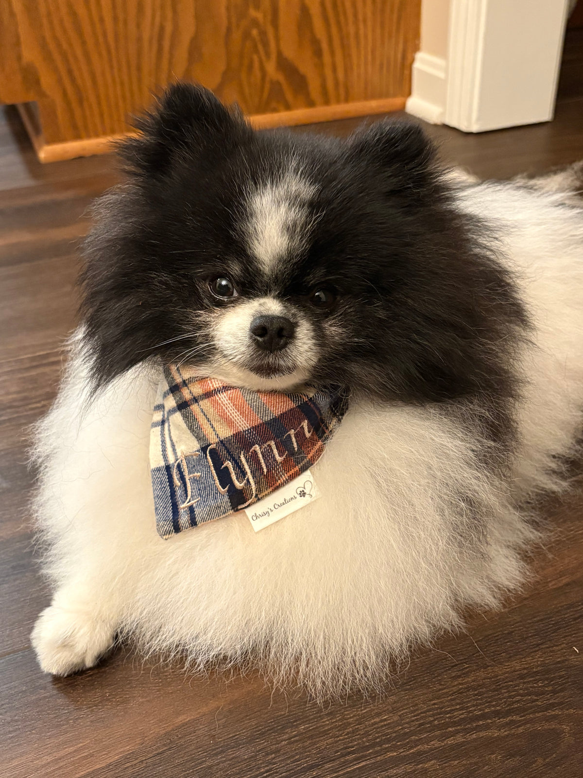 Personalized Plaid Dog Bandana or Bow Tie: Scrunchie, Embroidered Flannel, Navy, Tan