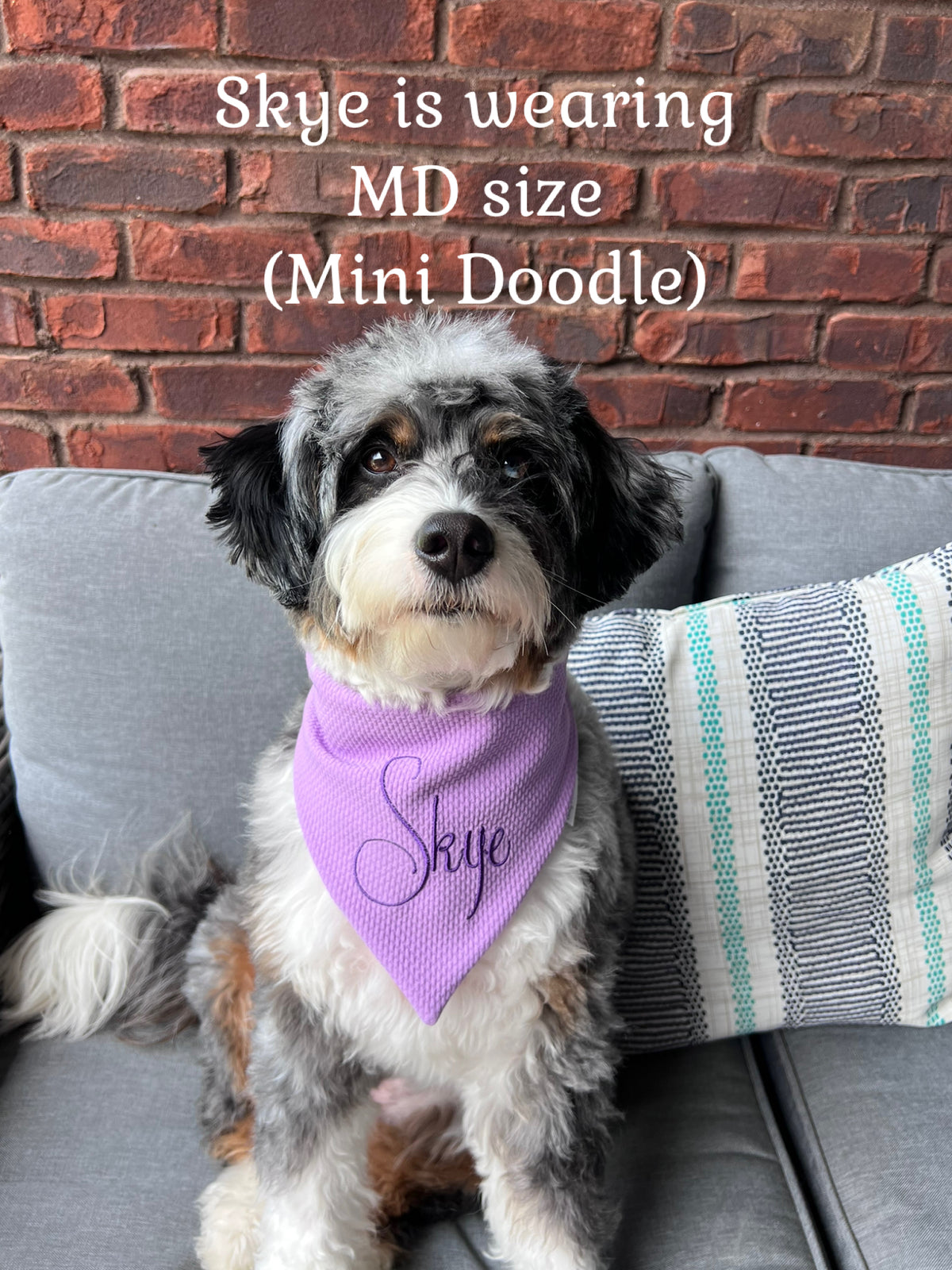 Personalized Dog Bandana:  Scrunchie, Lavender or Dusty Blue; Knit Jersey Bullet Textured Fabric