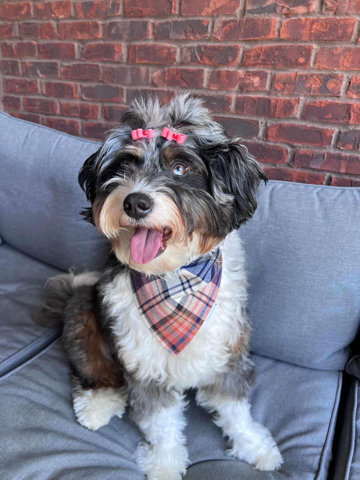Personalized Plaid Dog Bandana or Bow Tie: Scrunchie, Embroidered Flannel, Navy, Tan