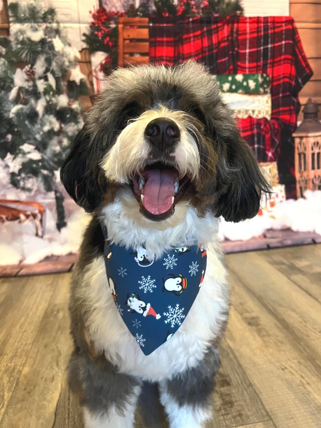 Christmas Penguins HoHoHo Dog Bandana: Scrunchie, Reversible
