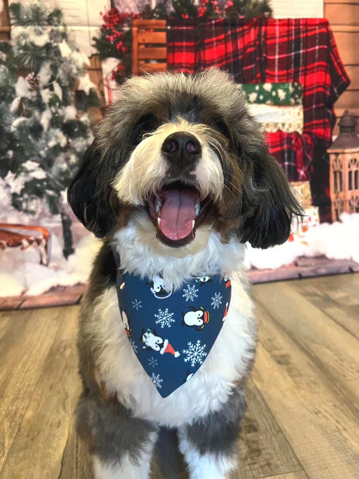 Christmas Penguins HoHoHo Dog Bandana: Scrunchie, Reversible