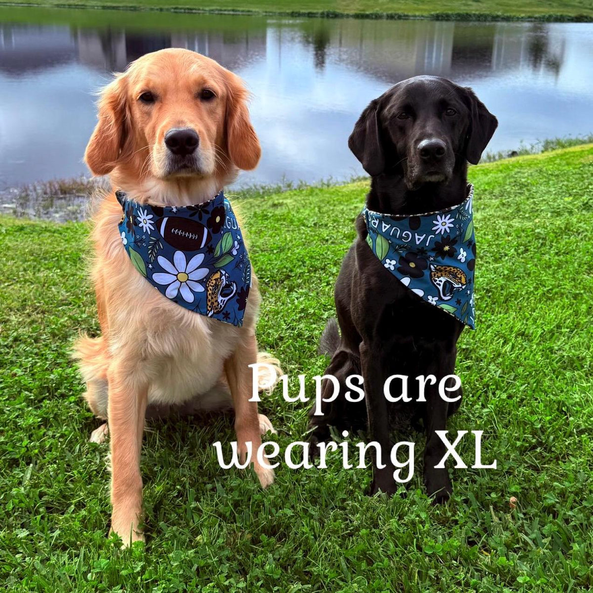 Jaguars Dog Bandana; Scrunchie Reversible Leopard print