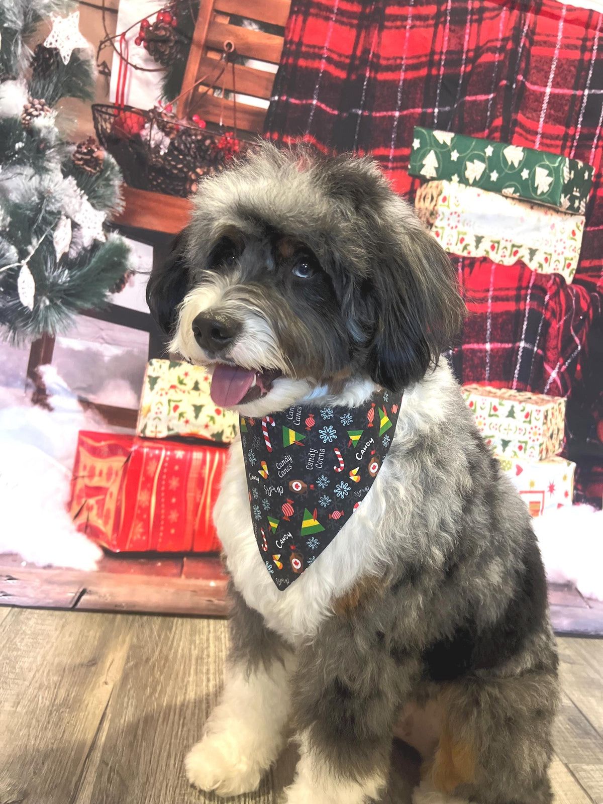 Christmas Elf Dog Bandana: Over the Collar and Scrunchie Christmas Candy