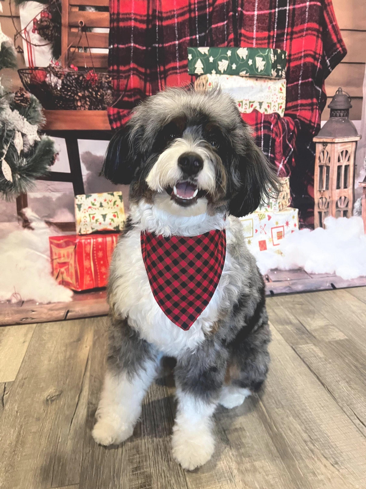 Christmas Sock Monkey Buffalo Check Dog Bandana: Scrunchie, Reversible
