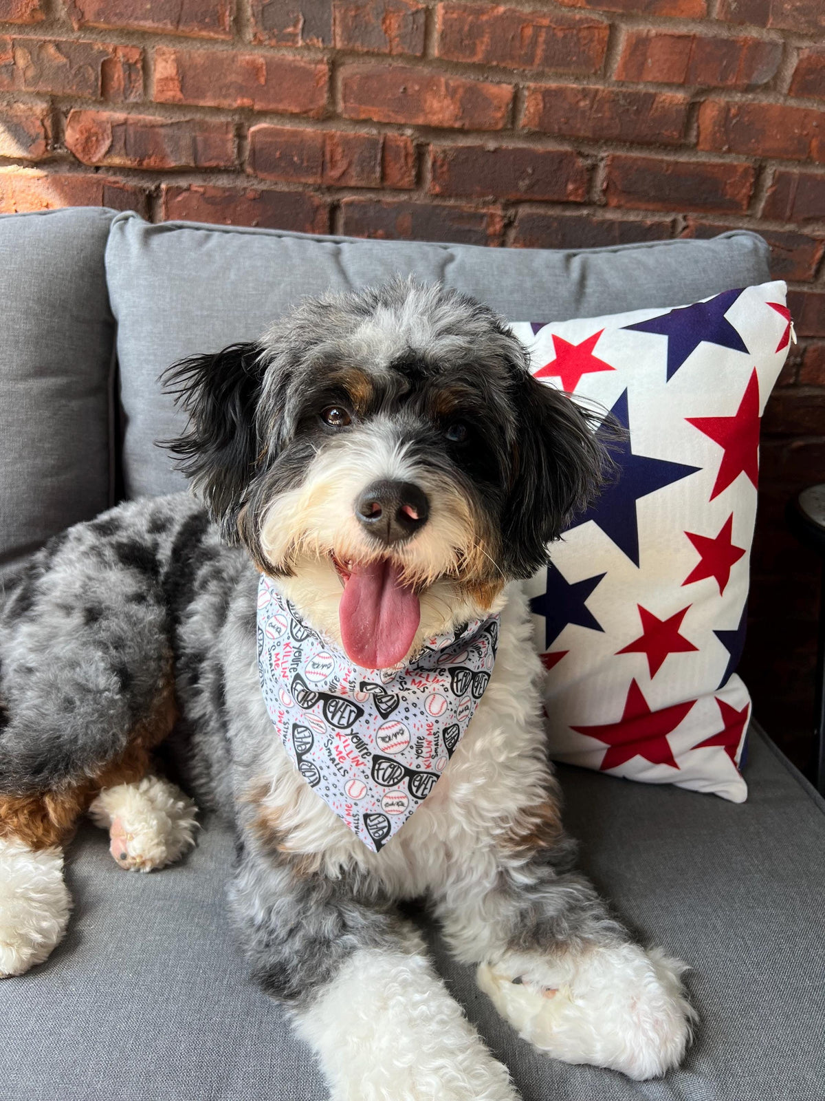Sandlot Baseball Dog Bandana Scrunchie FOREVER Summer Nostalgic Killin' Me Smalls