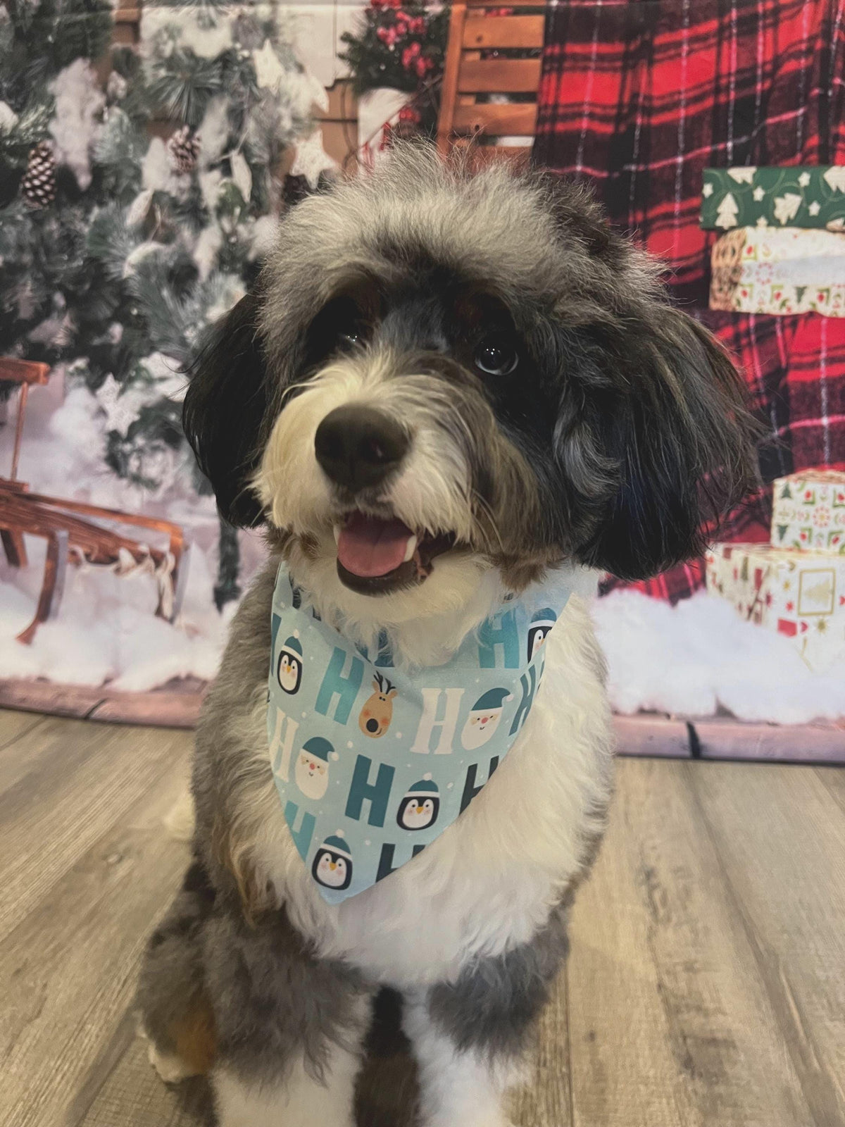 Christmas Penguins HoHoHo Dog Bandana: Scrunchie, Reversible