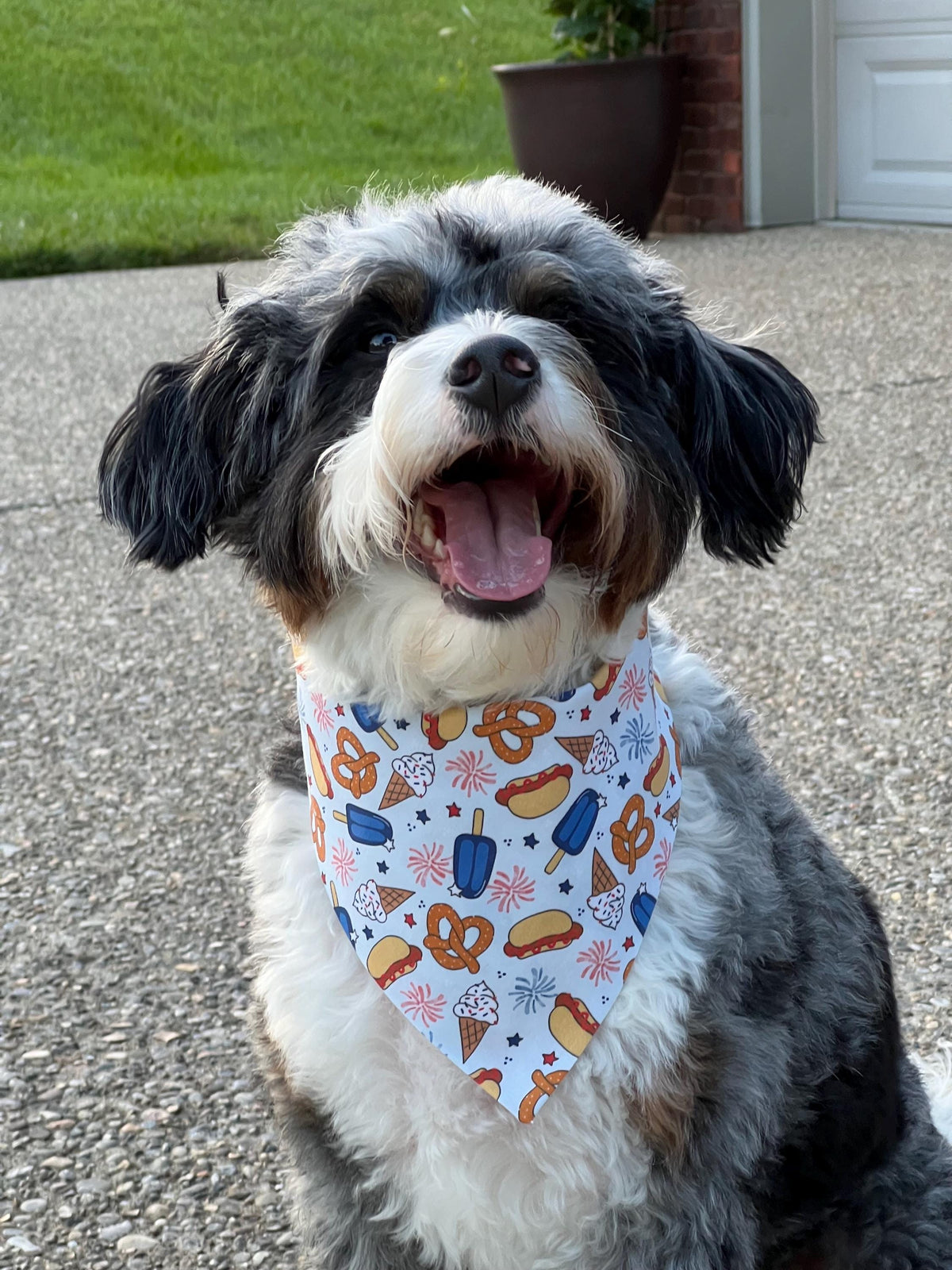 Patriotic Dog Bandana: July Fourth Snacks, Over the Collar & Scrunchie