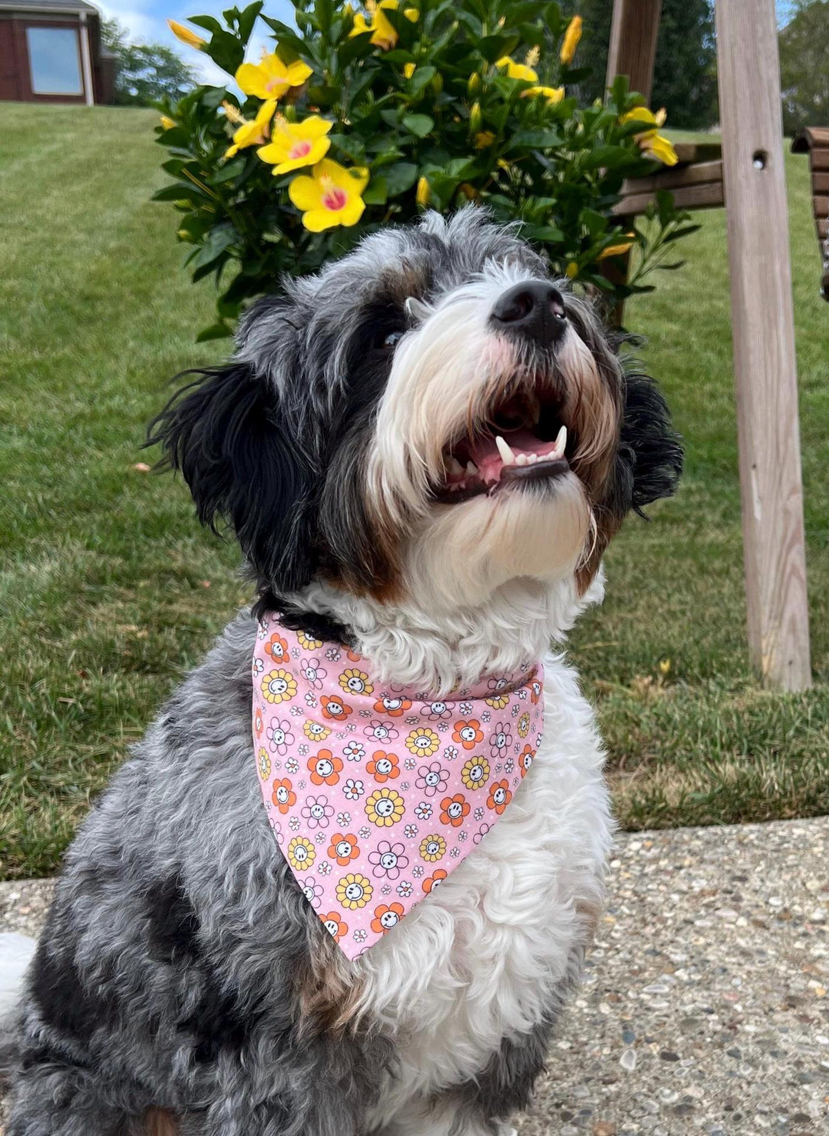 Fall Dog Bandana: Happy Fall Y'all Reversible Scrunchie with Pumpkins, Leaves & Flowers
