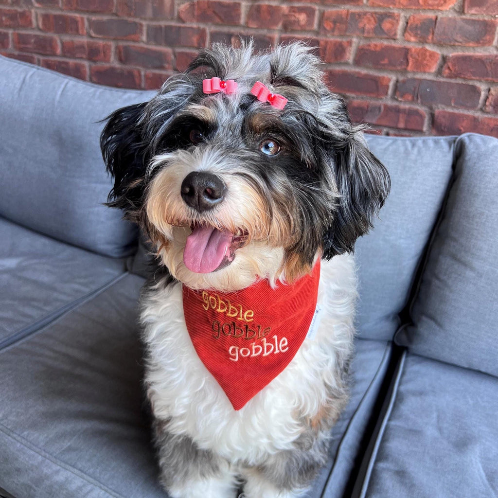 gobble gobble Dog Bandana: Scrunchie, Corduroy, Embroidery, Autumn, Thanksgiving