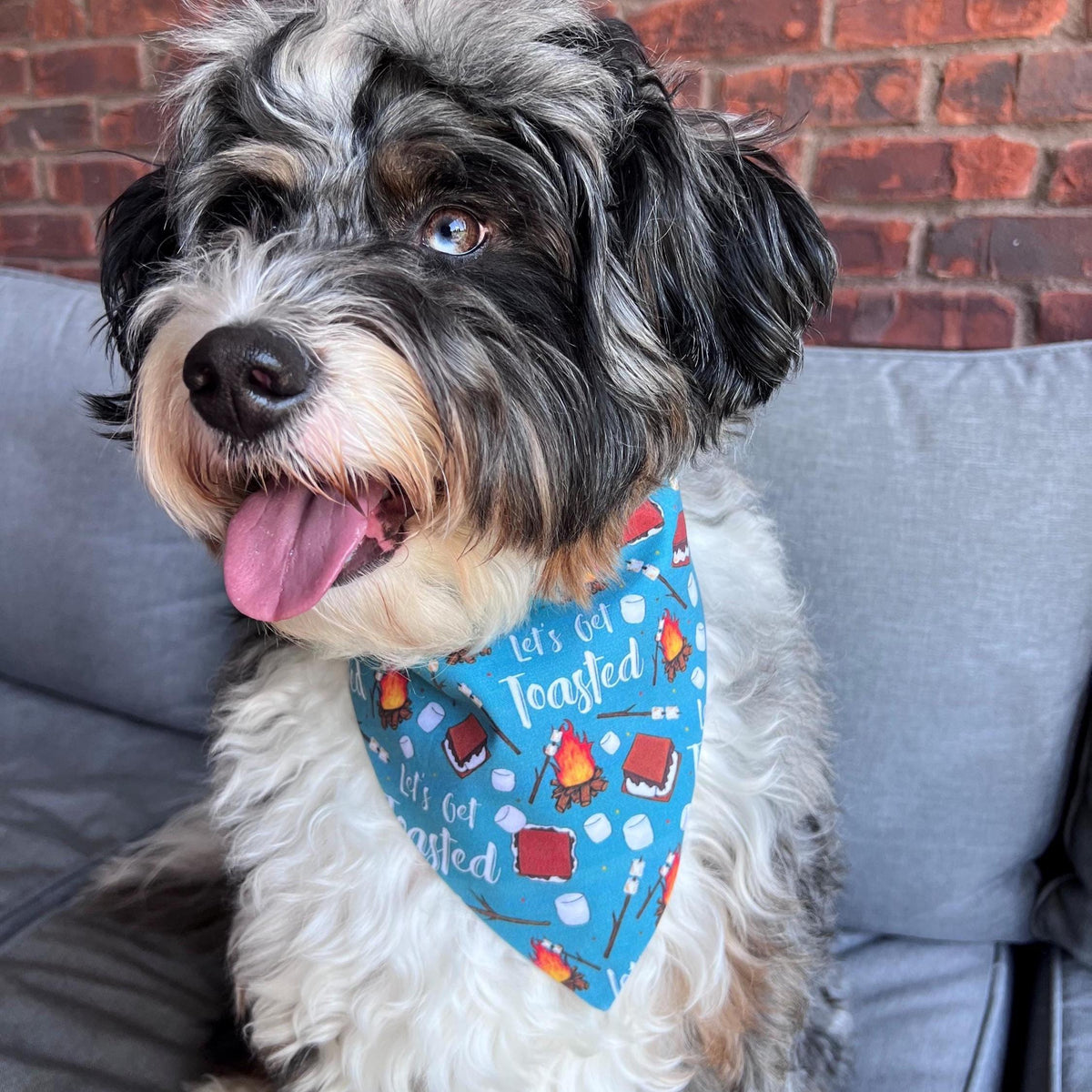 Let's get Toasted Dog Bandana: Scrunchie, Autumn, smores, campfire