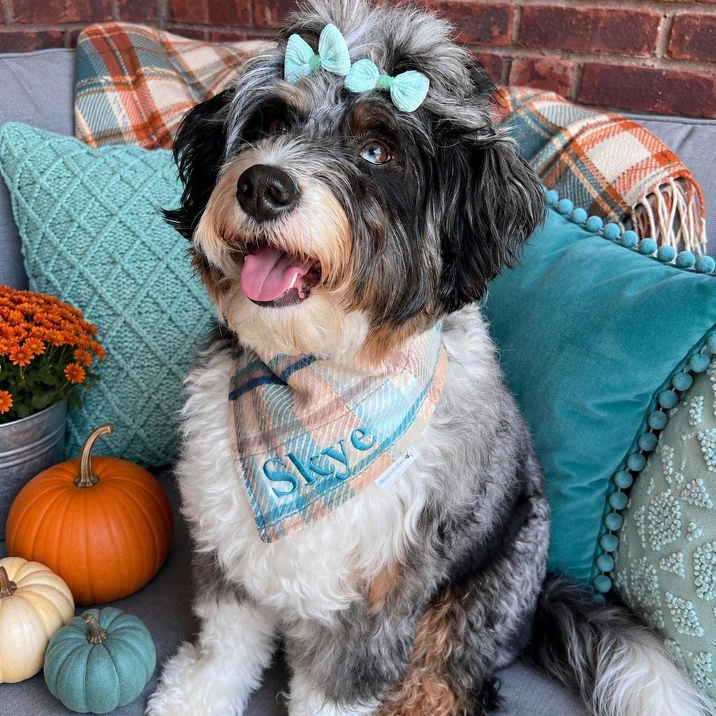 Personalized Plaid Dog Bandana: Scrunchie, Embroidered, Turquoise Flannel, Autumn