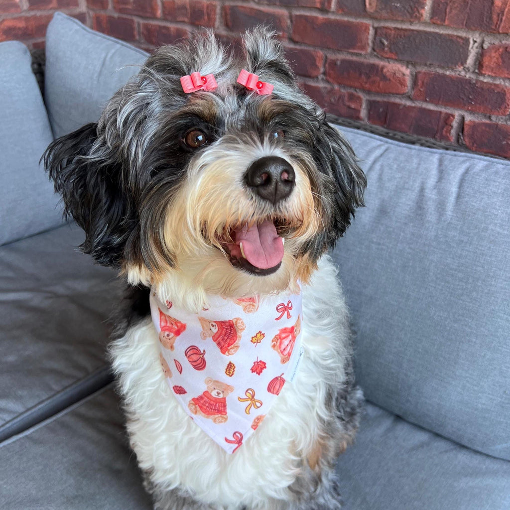 Autumn Teddy Bears Dog Bandana: Scrunchie, pumpkins, bows