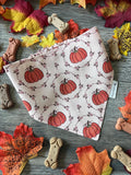Coquette Pumpkins Dog Bandana: Scrunchie, Autumn Coral