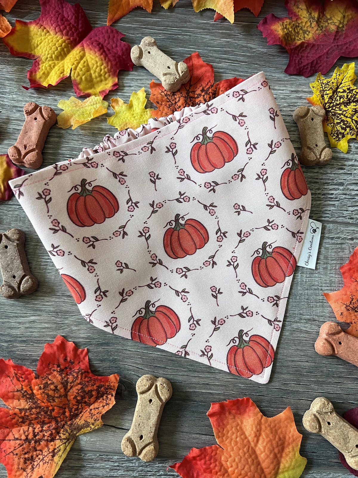 Coquette Pumpkins Dog Bandana: Scrunchie, Autumn Coral