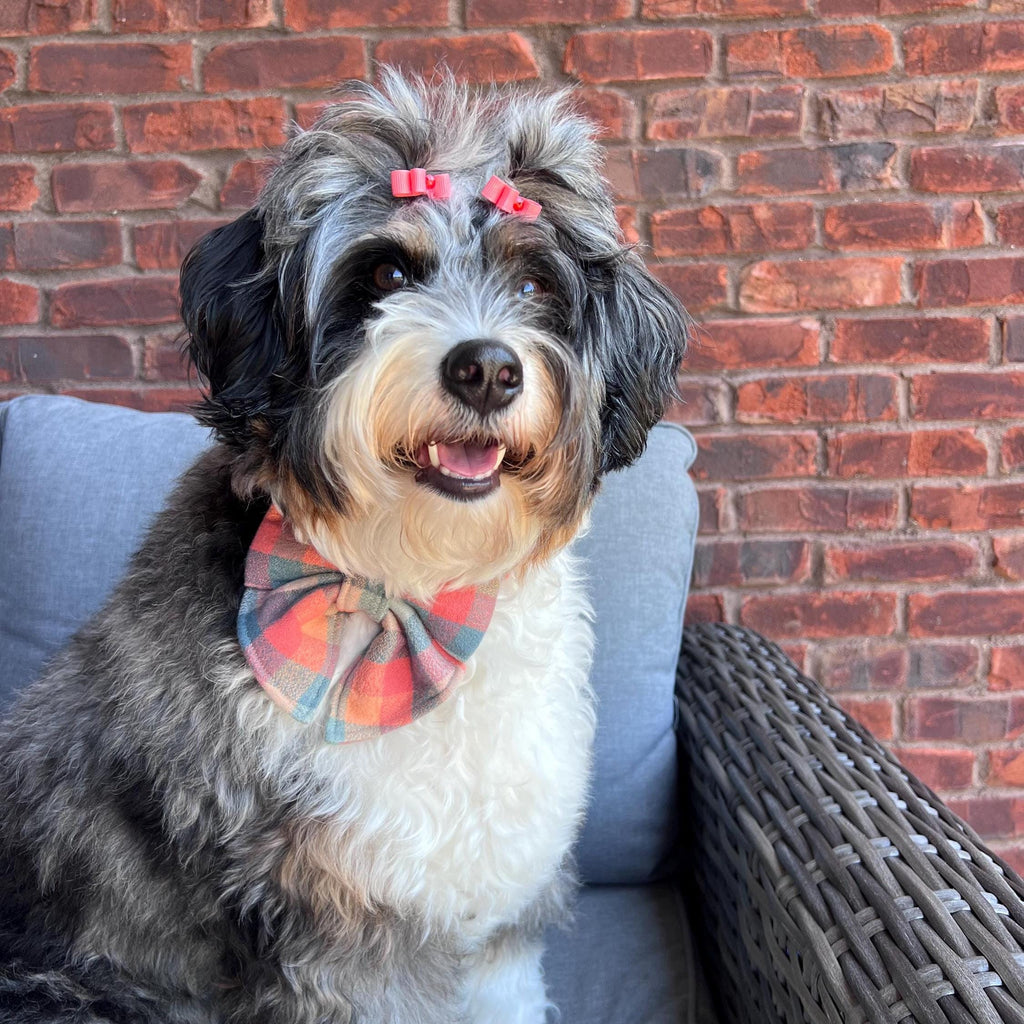 Plaid Peach Teal Scrunchie Dog Sailor Bow: Flannel, Fall, Thanksgiving
