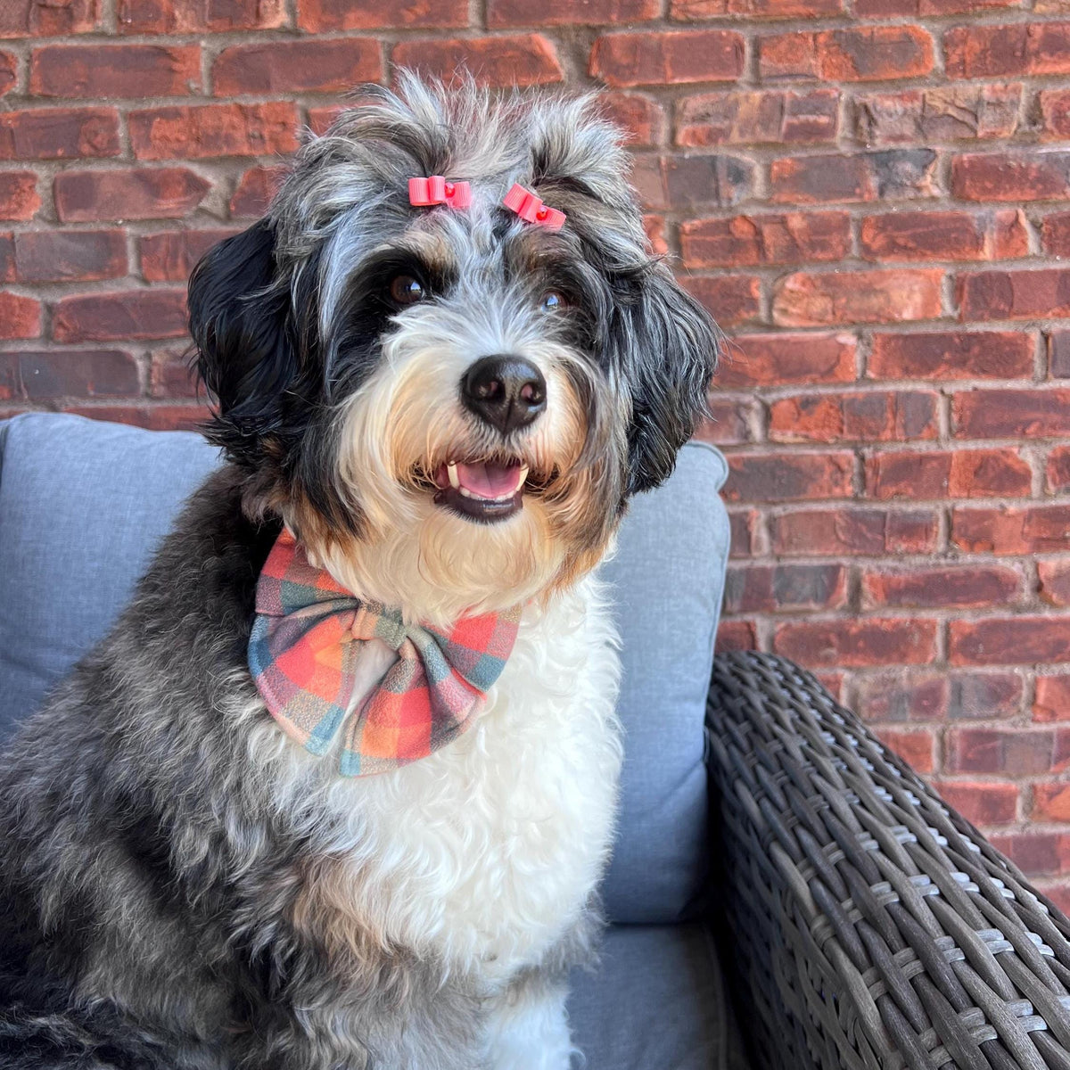 Plaid Peach Teal Scrunchie Dog Sailor Bow: Flannel, Fall, Thanksgiving