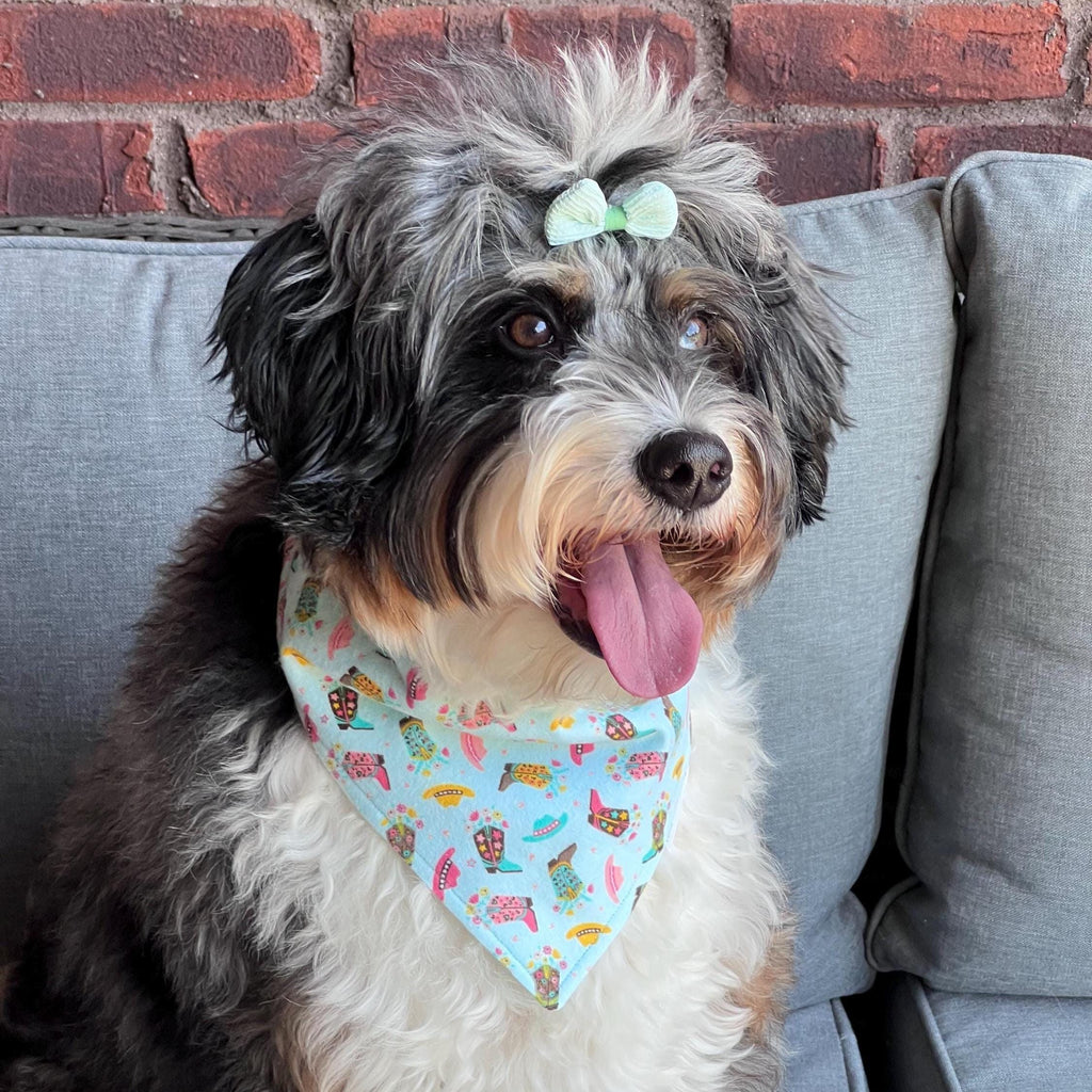 Cowgirl Boots Dog Bandana: Scrunchie, Turquoise, Pink, Wildflowers, Flannel