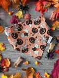 Halloween Pooh and Friends Dog Bandana: Scrunchie, Orange, pumpkins, spooky