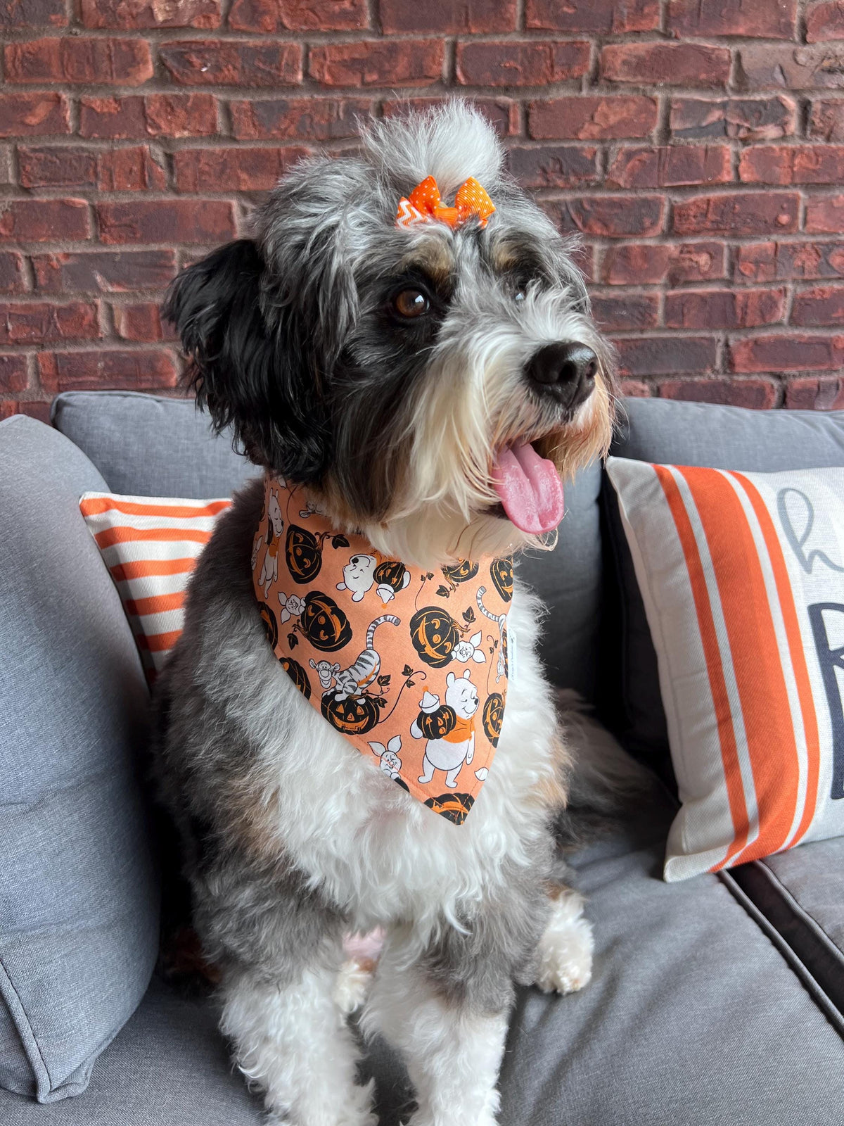 Halloween Pooh and Friends Dog Bandana: Scrunchie, Orange, pumpkins, spooky