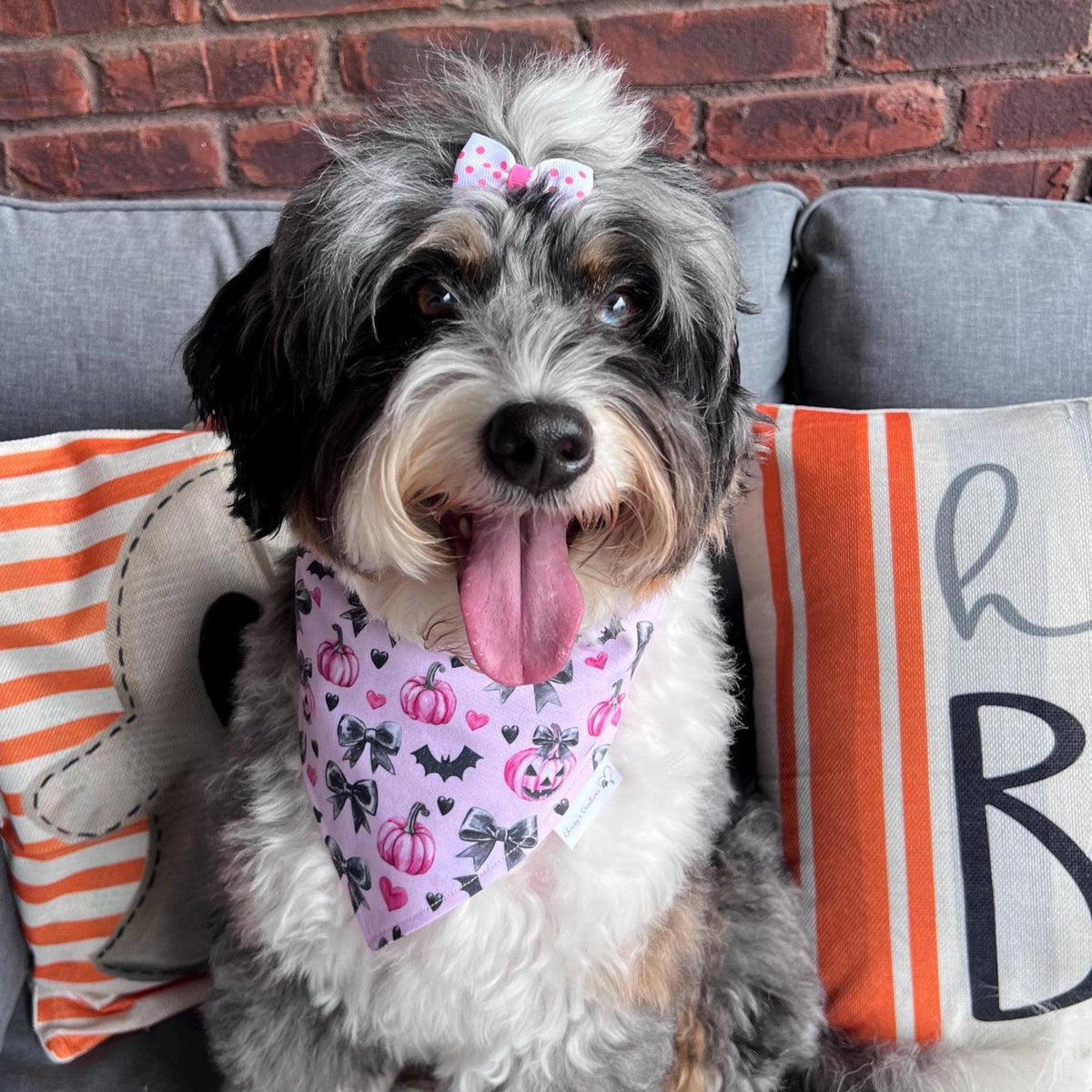 Halloween Spooky Pink Pumpkins Dog Bandana: Scrunchie, Black, Bows, Bats, Hearts