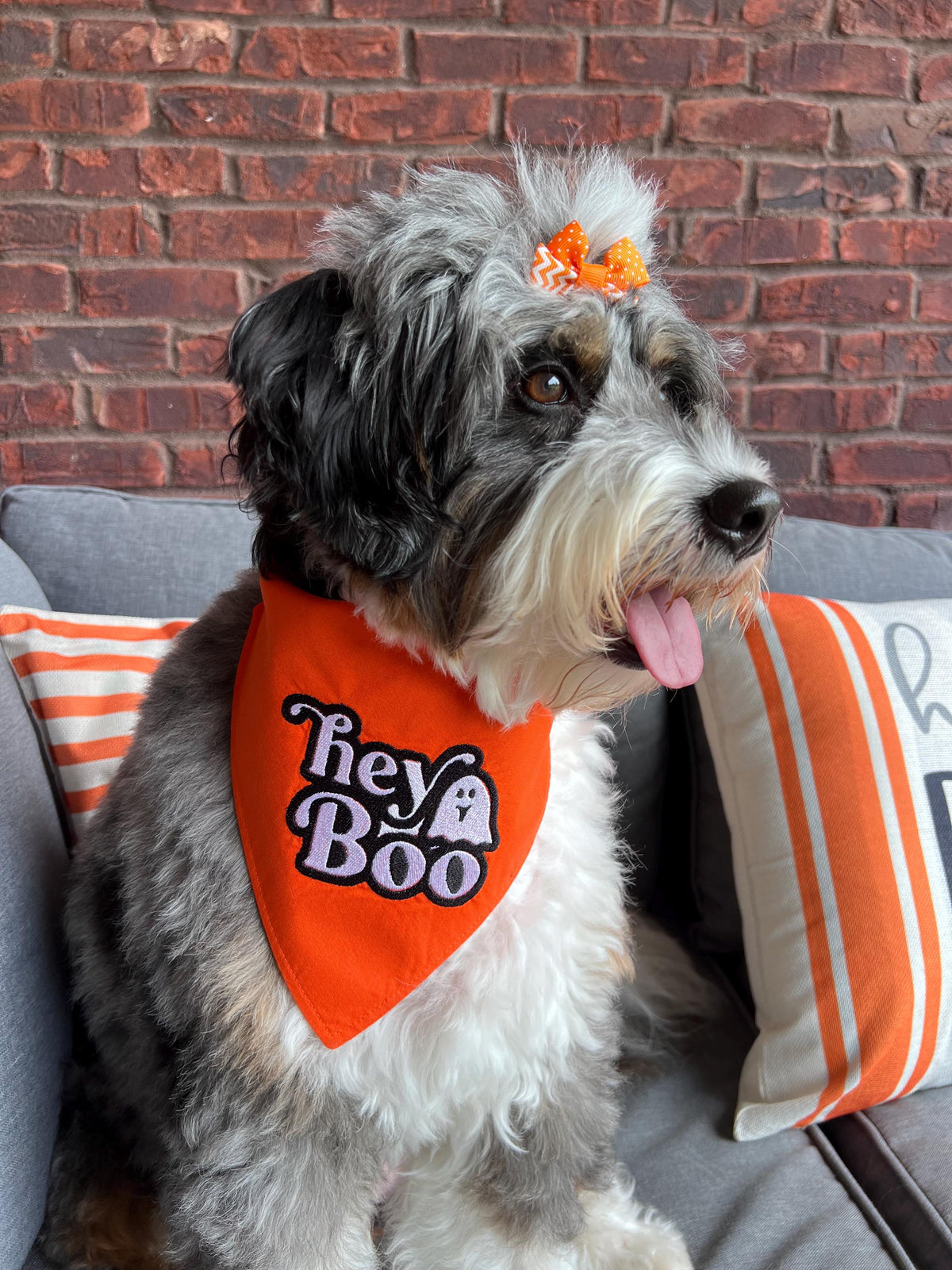 Halloween hey Boo Dog Bandana; Scrunchie, orange, embroidered, ghost