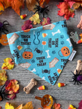 Halloween Trick or Treat Dog Bandana: Scrunchie, Teal, pumpkins, spiders, bones