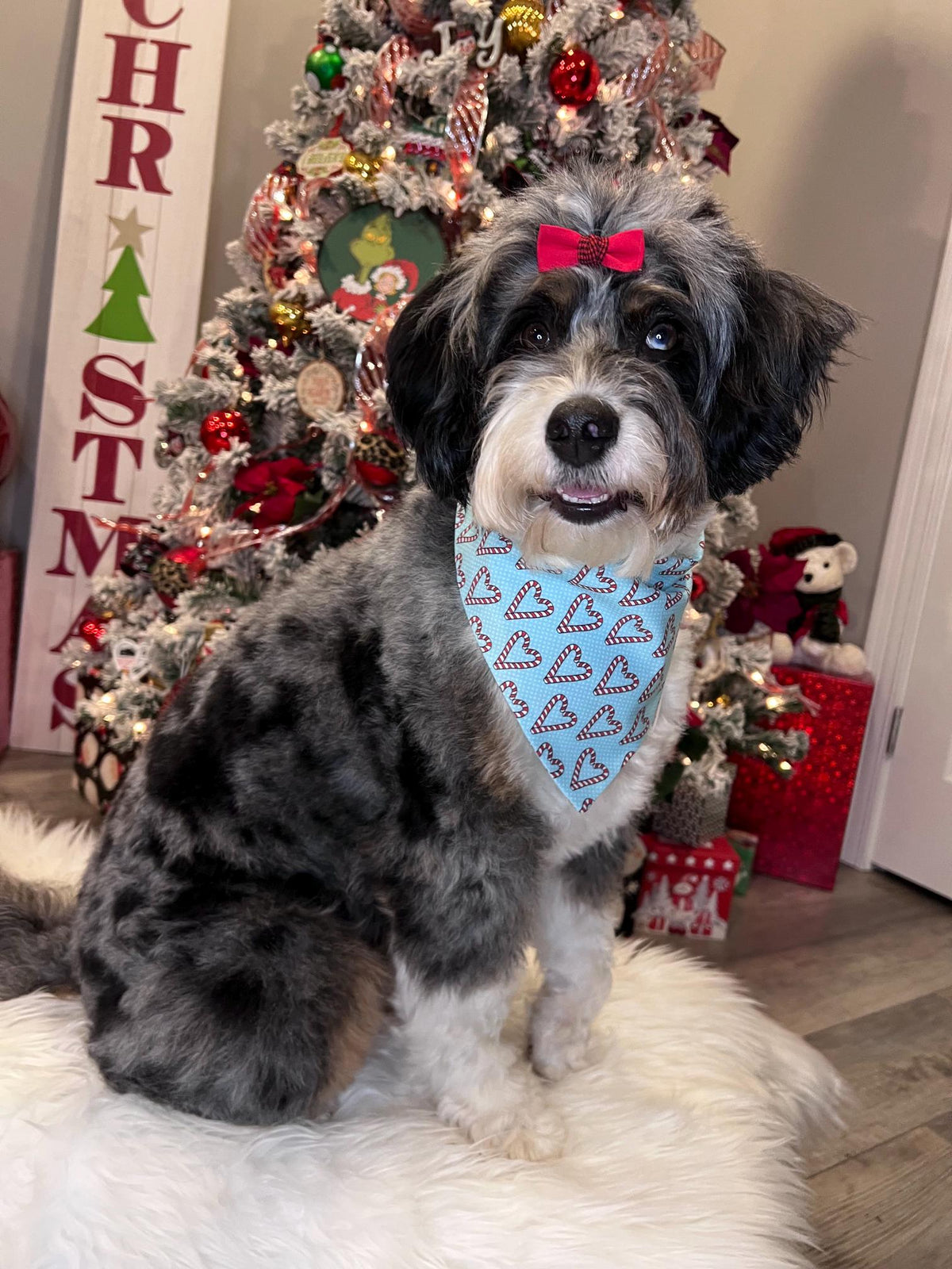 Christmas Candy Cane Hearts Dog Bandana: Scrunchie - Holiday Teal