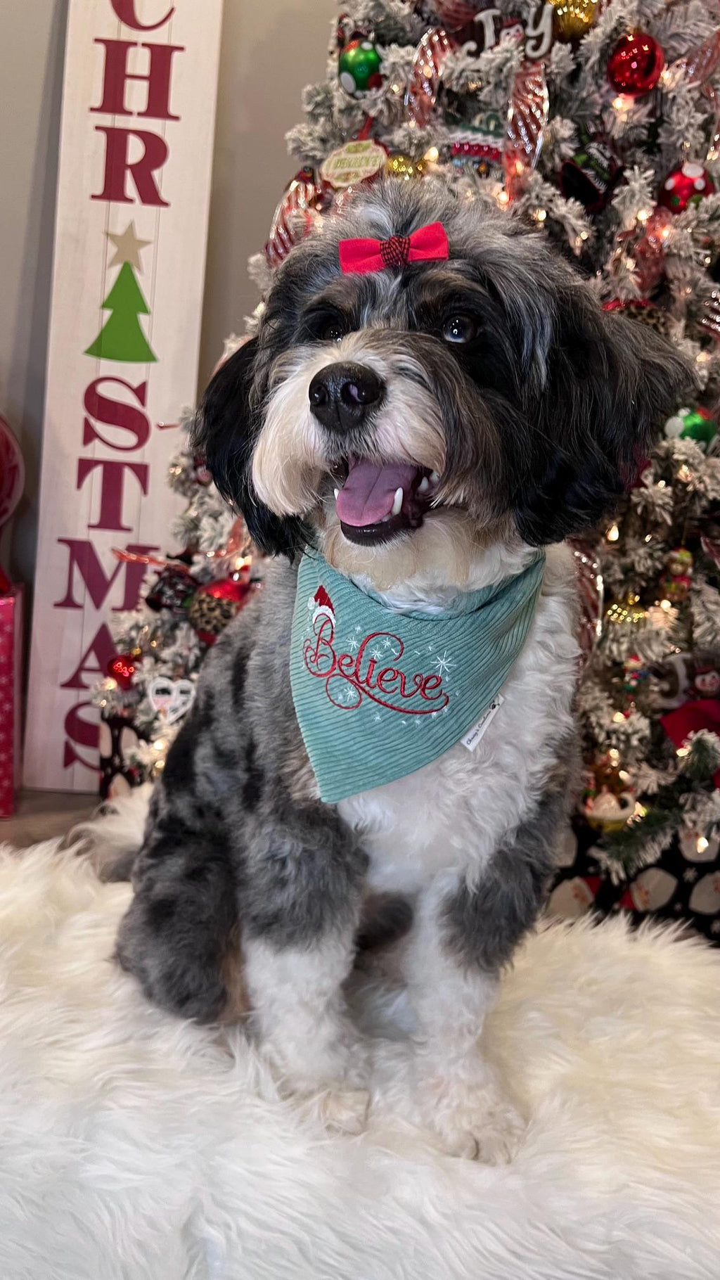 Christmas Believe Bandana: Scrunchie, Corduroy, Embroidery, Christmas, Holiday Santa Hat