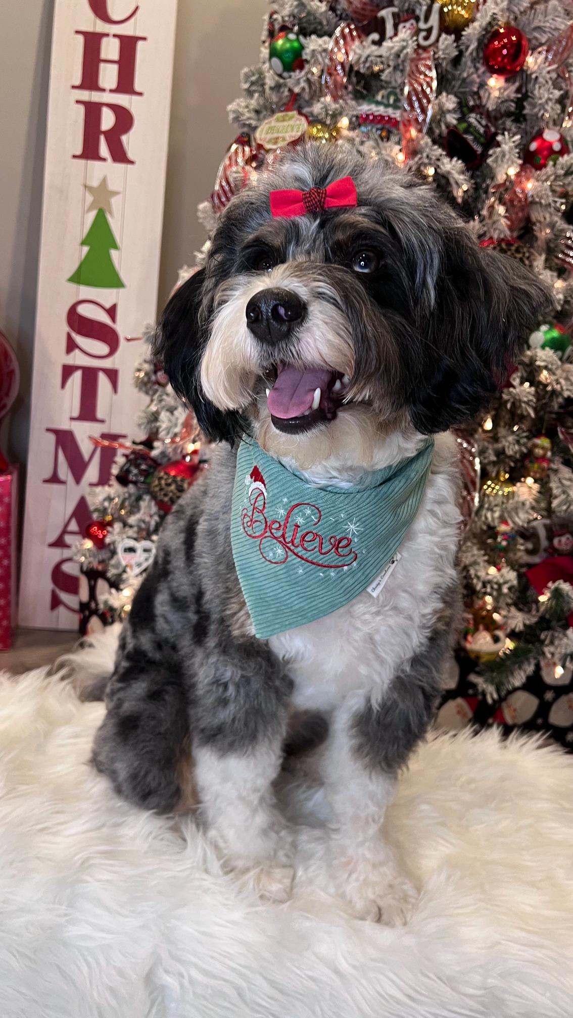 Christmas Believe Bandana: Scrunchie, Corduroy, Embroidery, Christmas, Holiday Santa Hat