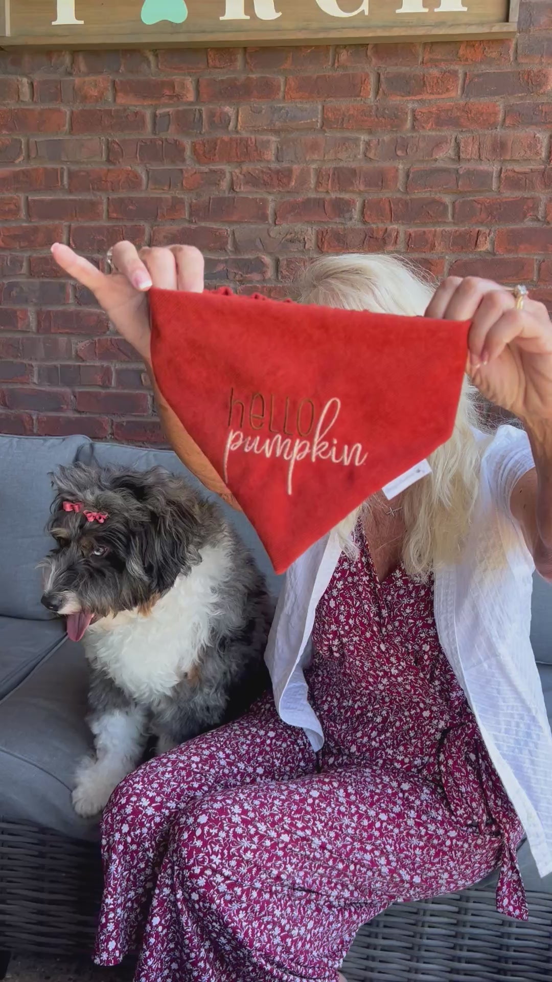 Autumn hello pumpkin Dog Bandana: Scrunchie, Corduroy, Embroidery, Thanksgiving, Fall