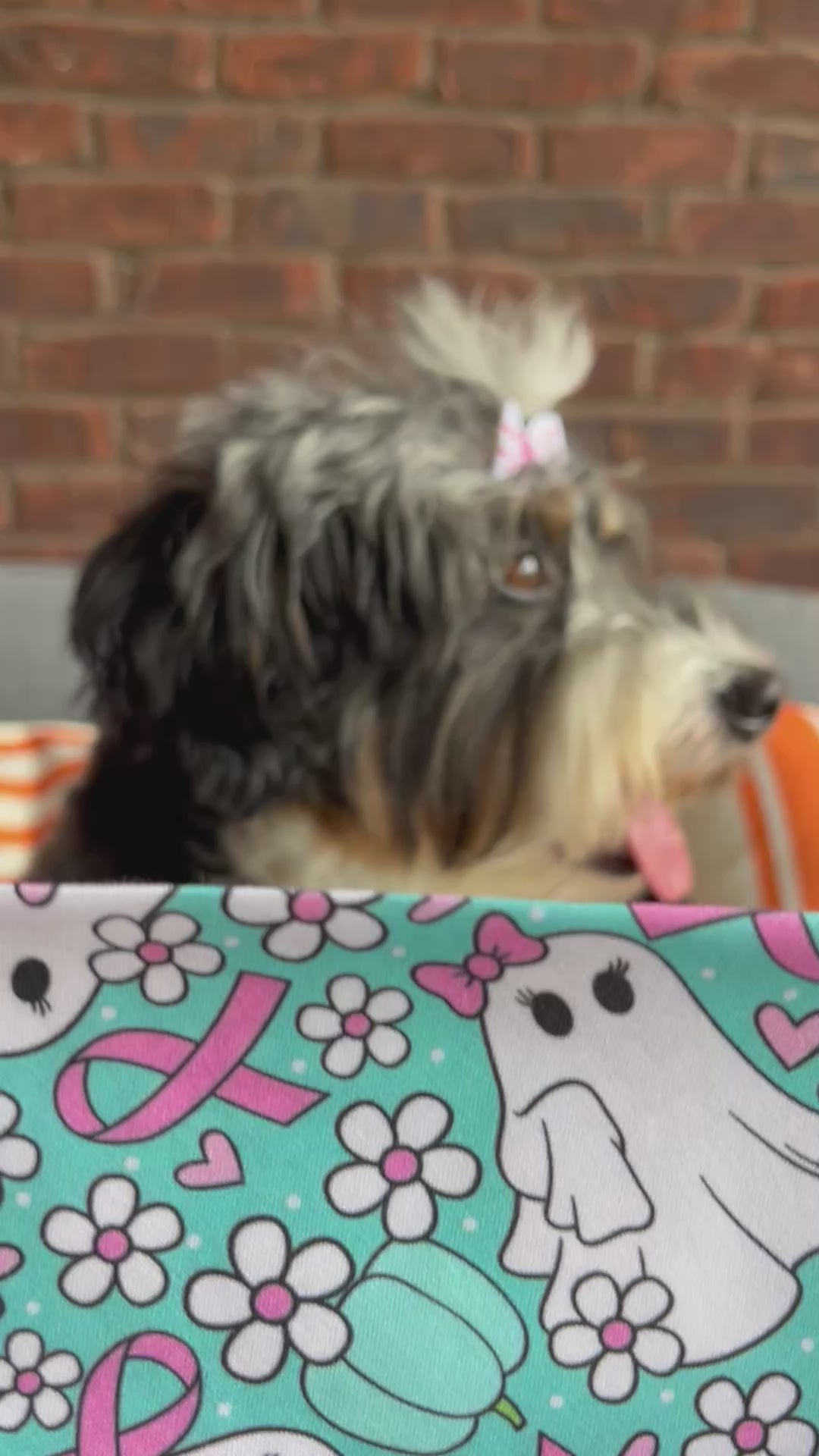 Halloween We Wear Pink Ribbons Ghosts Dog Bandana: Scrunchie, Teal, Cancer Awareness