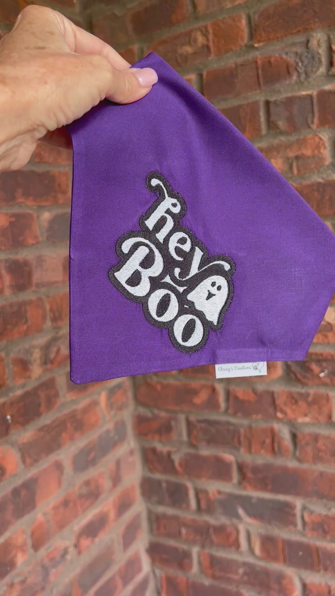 Halloween hey Boo Dog Bandana or matching Shirt: Scrunchie, purple, embroidered, t-shirt, ghost