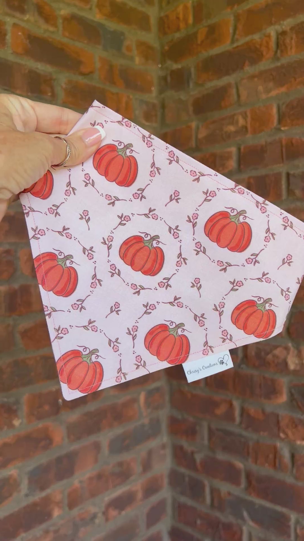 Coquette Pumpkins Dog Bandana: Scrunchie, Autumn Coral