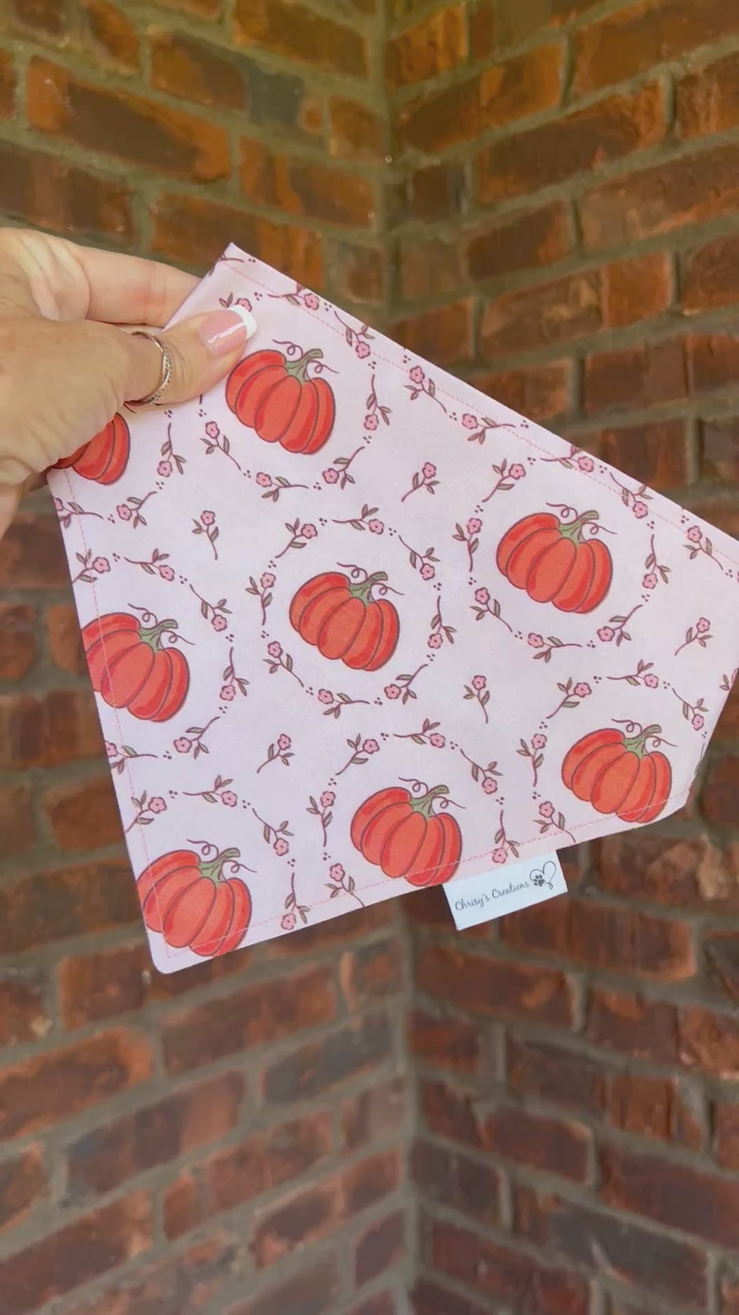 Coquette Pumpkins Dog Bandana: Scrunchie, Autumn Coral
