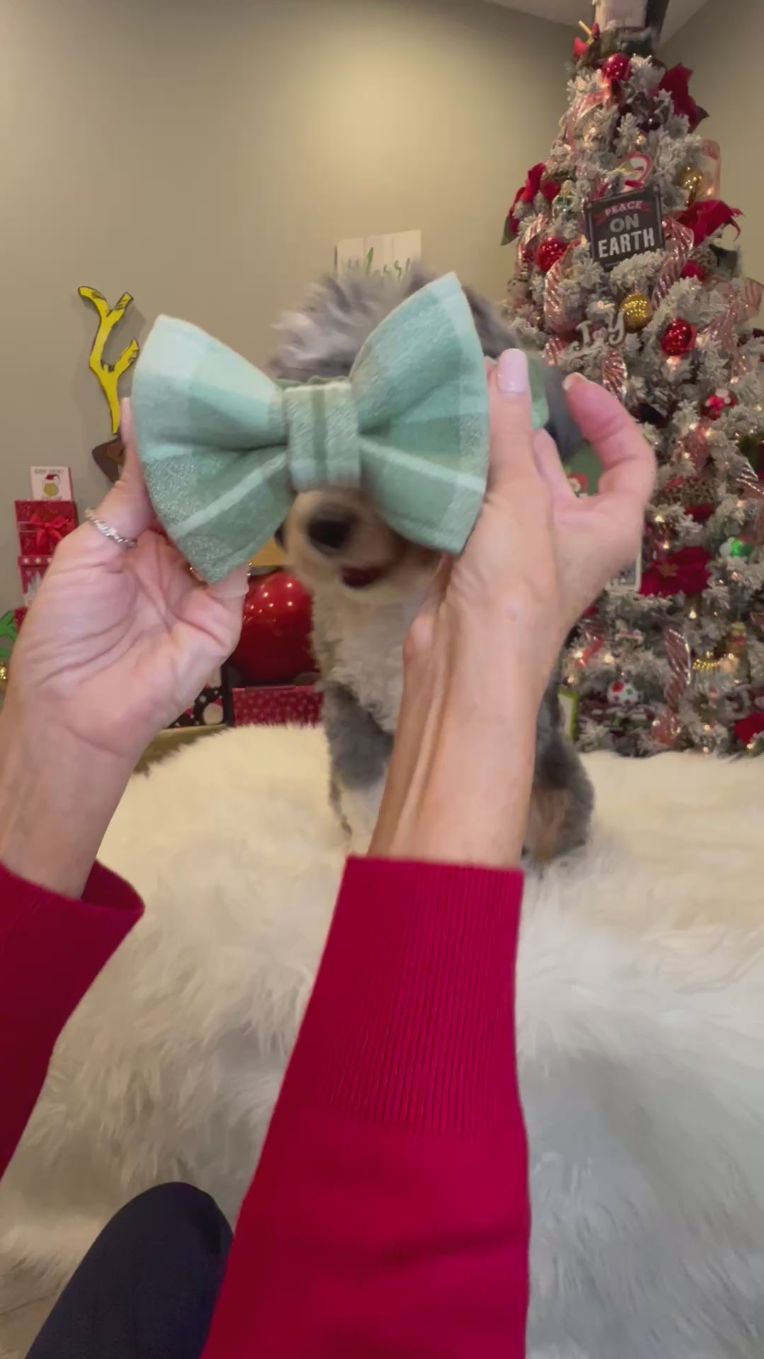 Christmas Green Plaid Dog Bandana or Bow Tie; Scrunchie, Flannel, Holiday