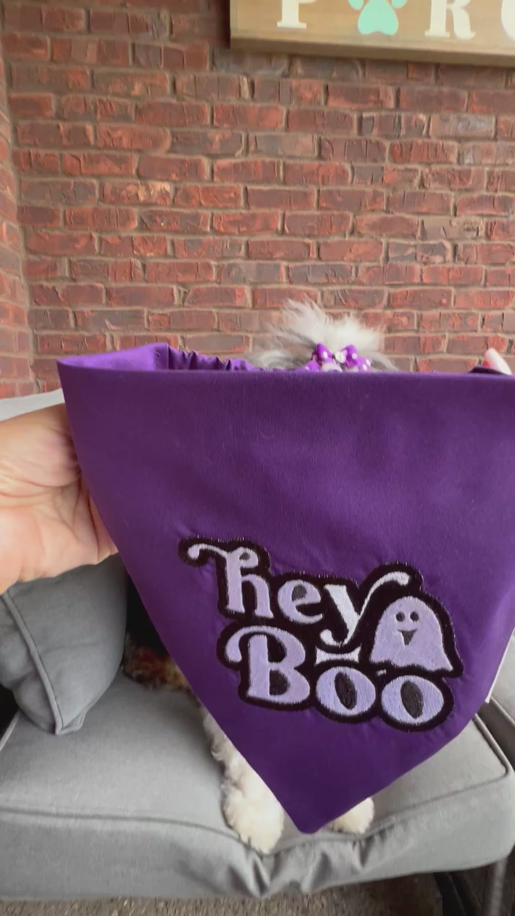 Halloween hey Boo Dog Bandana or matching Shirt: Scrunchie, purple, embroidered, t-shirt, ghost