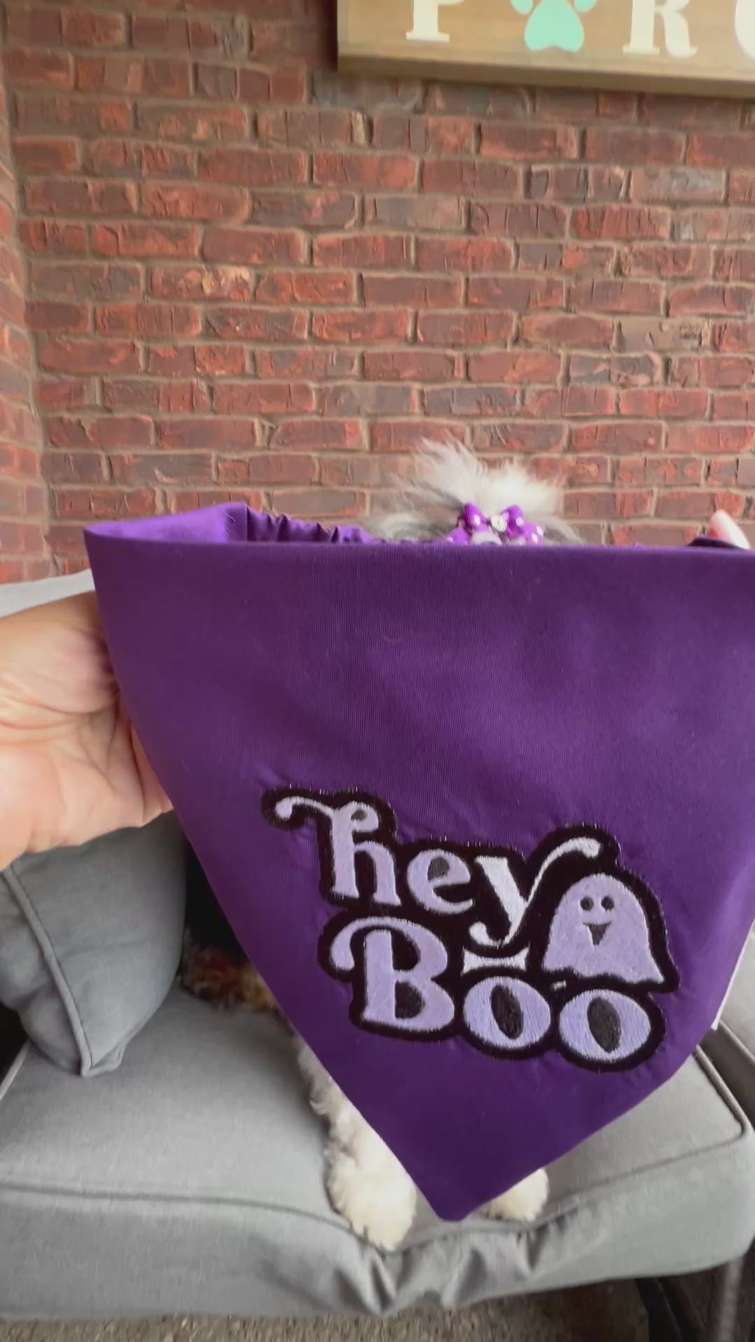 Halloween hey Boo Dog Bandana or matching Shirt: Scrunchie, purple, embroidered, t-shirt, ghost