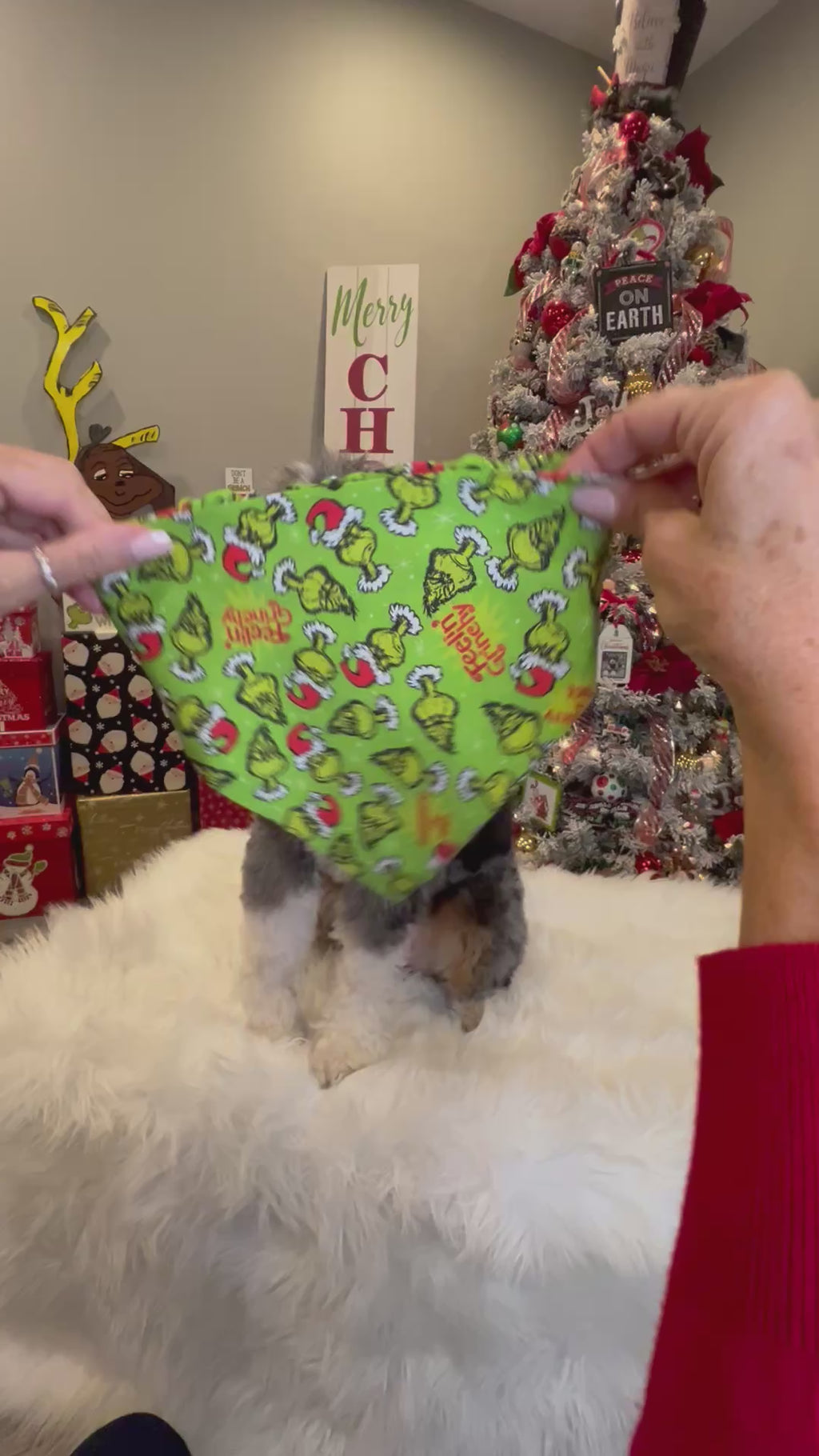 Christmas The Grinch Dog Bandana: Scrunchie,  Feelin' Grinchy, Green, Holiday